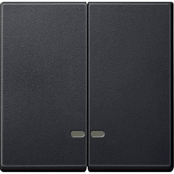 MERTEN КЛАВИША двойная с окошком д/световой индикации, АНТРАЦИТ, SM