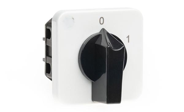 Переключатель BS 16 91 U, 2P, 20A, тип 0-1 (60°), 2NO на 1, 2.5kW(230VAC по АС-23), на дверь, фронт IP40