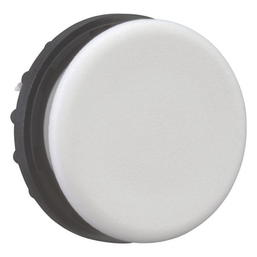 Заглушка резервного места серая, M22-B, IP67