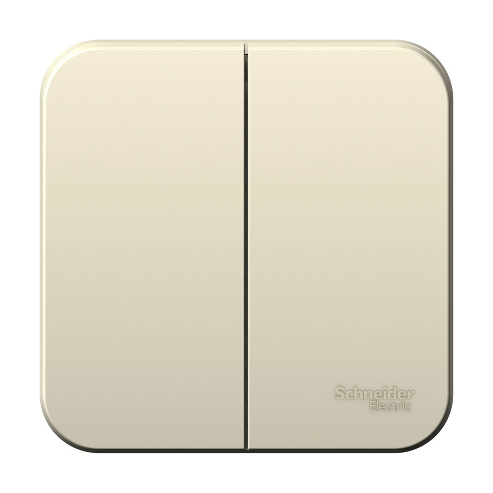 BLANCA О/У 2-клавишный ВЫКЛЮЧАТЕЛЬ (сх.5) ИЗОЛ.ПЛ., 6А, 250В,МОЛОЧНЫЙ