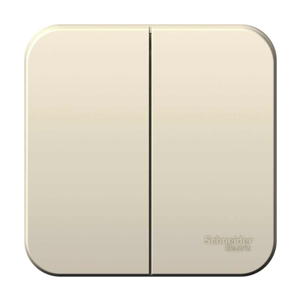 BLANCA О/У 2-клавишный ВЫКЛЮЧАТЕЛЬ (сх.5), 6А, 250В, МОЛОЧНЫЙ