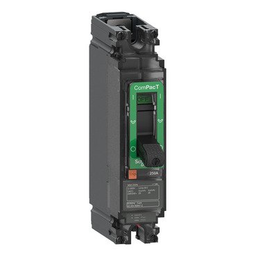 Circuit breaker, ComPacT NSX250N AC, 25kA/240VAC, 1 pole, TMD trip unit 250A