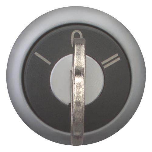 Переключатель с ключом I-0-II (40o, с возвратом в 0, ключ выним. в 0) Titan M22-WS3, IP66