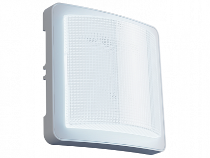 Светильник Эконом-ЖКХ LED 6Вт.,5000К хол.свет 6247У