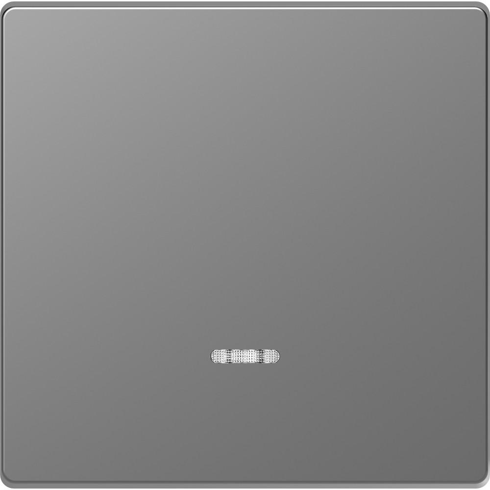 MERTEN D-Life КЛАВИША 1-ная с линзой для LED модуля, НЕРЖ.СТАЛЬ