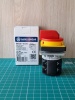 Переключатель BS 25 10 LK, аварийный, 3P, 25A, тип 0-1, 7.5kW(400VAC по АС-3), на дверь, красная блокируемая в 0 рукоятка, фронт IP40