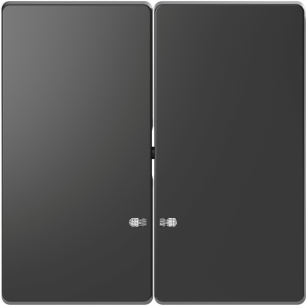 MERTEN D-Life КЛАВИША 2-ная с линзой для LED модуля, АНТРАЦИТ