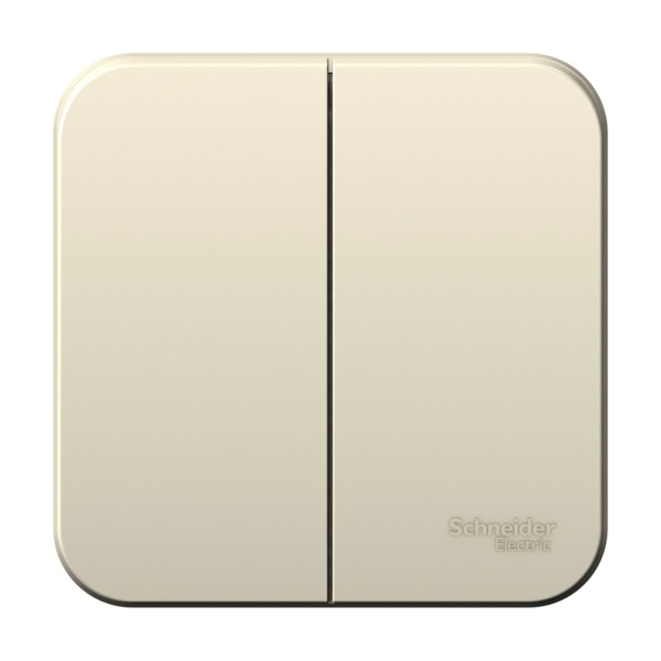 BLANCA О/У 2-клавишный ВЫКЛЮЧАТЕЛЬ (сх.5), 10А, 250В, МОЛОЧНЫЙ