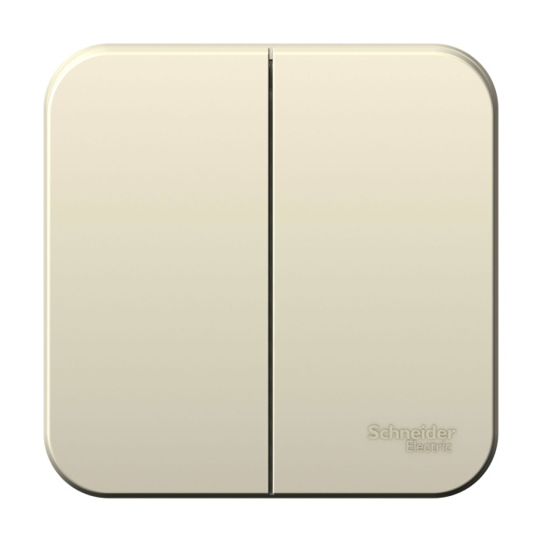 BLANCA О/У 2-клавишный ВЫКЛЮЧАТЕЛЬ (сх.5) ИЗОЛ.ПЛ., 6А, 250В,МОЛОЧНЫЙ