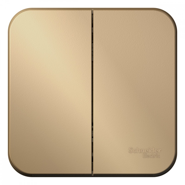 BLANCA О/У 2-клавишный ВЫКЛЮЧАТЕЛЬ (сх.5) ИЗОЛ.ПЛ., 10А, 250В, ТИТАН