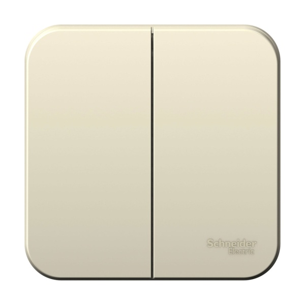 BLANCA О/У 2-клавишный ВЫКЛЮЧАТЕЛЬ (сх.5), 6А, 250В, МОЛОЧНЫЙ