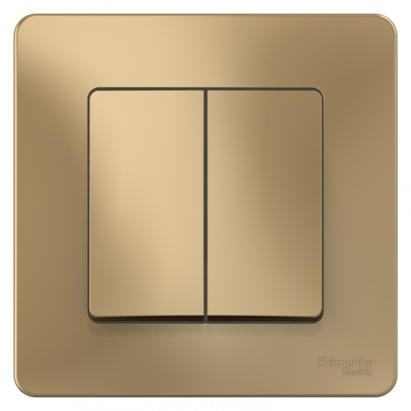 BLANCA С/У 2-клавишный ПЕРЕКЛЮЧАТЕЛЬ (cх.6+6), 10А, 250В, ТИТАН