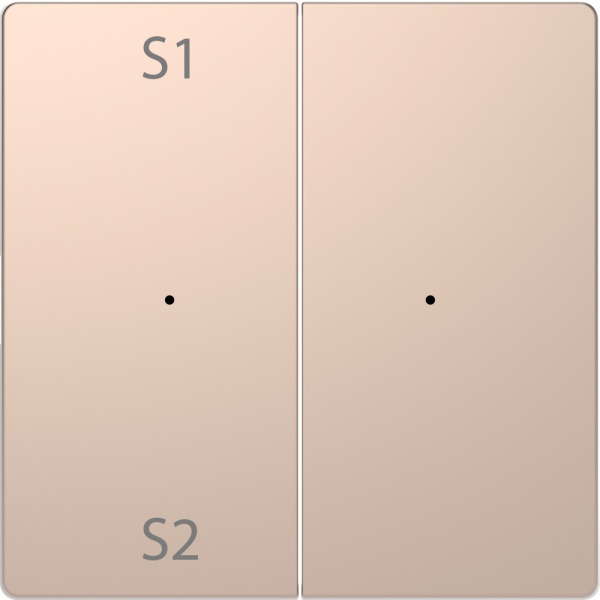 MERTEN D-Life PlusLink КЛАВИША 2-ная с S1/S2, пусто, ШАМПАНЬ, SD