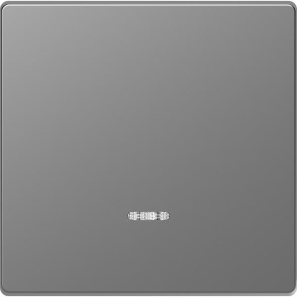 MERTEN D-Life КЛАВИША 1-ная с линзой для LED модуля, НЕРЖ.СТАЛЬ